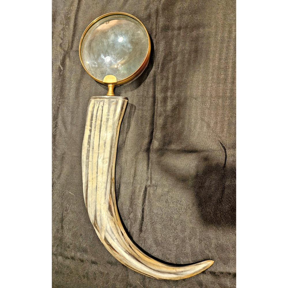 Vintage 1940s 21" Taxidermy Horn w/ 6" Magnifying Glass Optical Lens - Rare Find